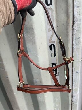 Brown Leather Horse Halter with Brass Hardware